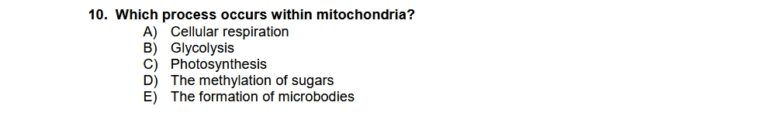 2024 IMAT biology question 10, on mitochondria